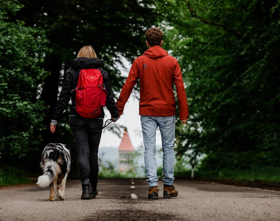 Wandelen - Activiteiten