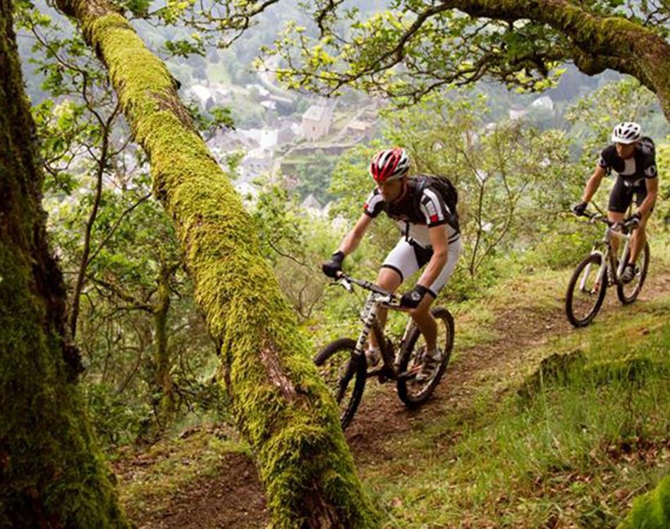 Eislek "Aktiv" - Arrangements