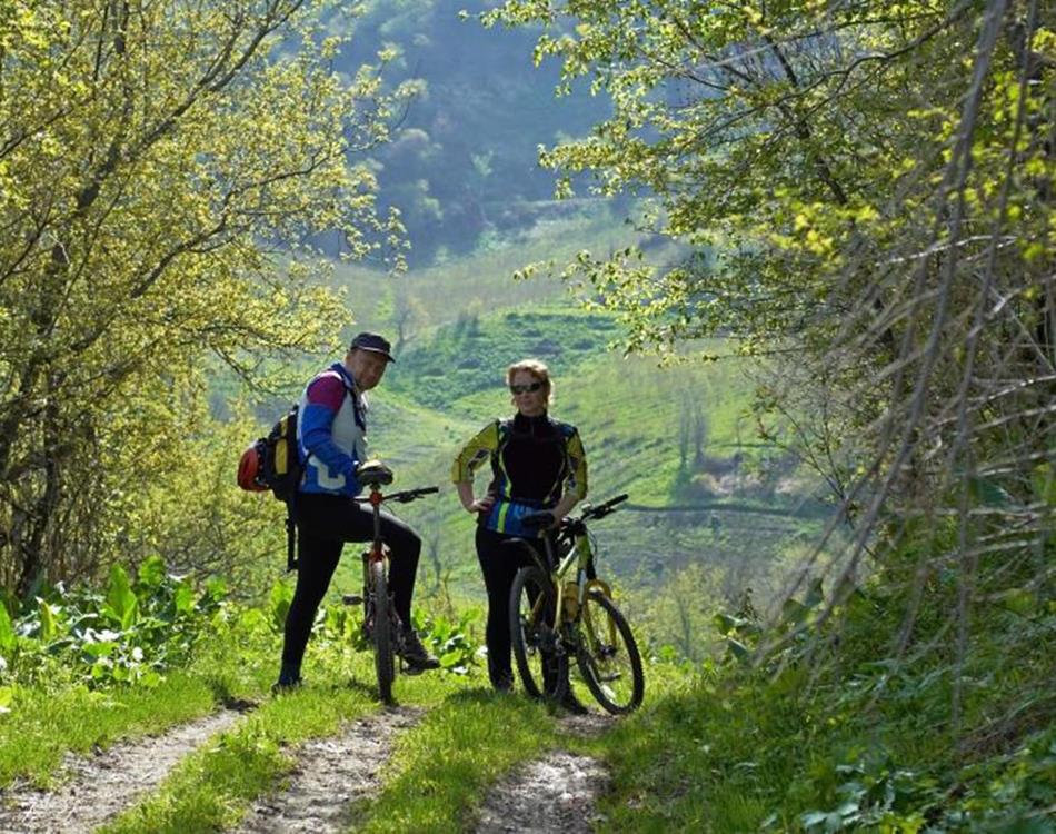 Fahrrad fahren - Aktivitäten