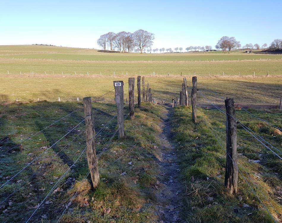 Eislek "Aktiv" - Arrangements