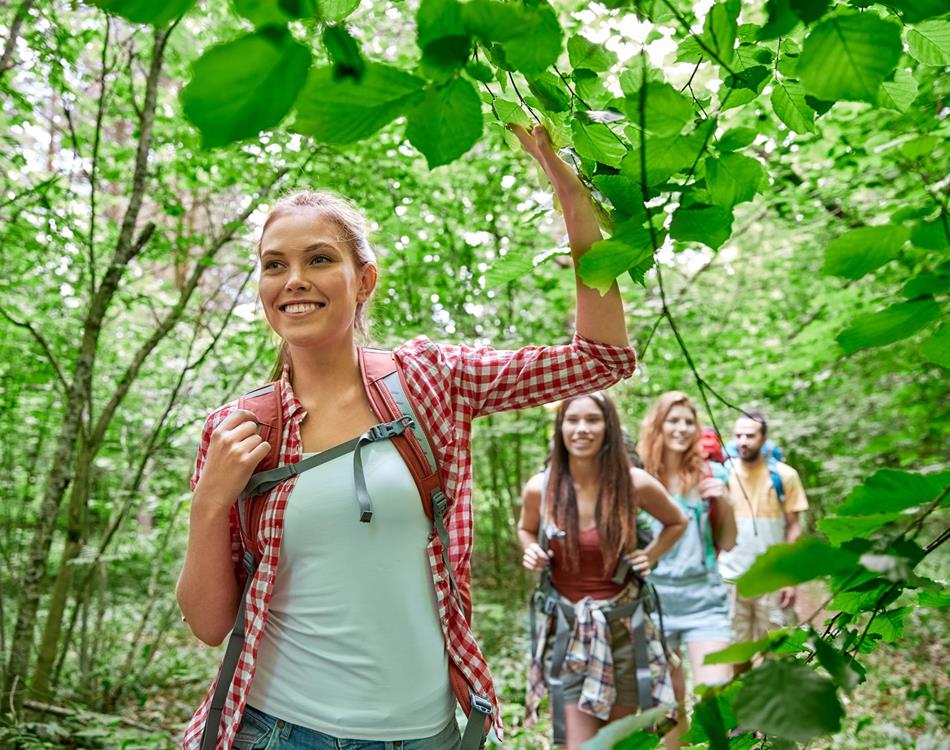 Wandern - Aktivitäten