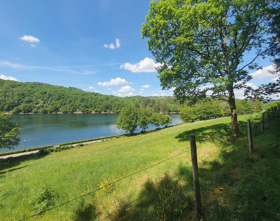 Eislek "Aktiv" - Arrangements