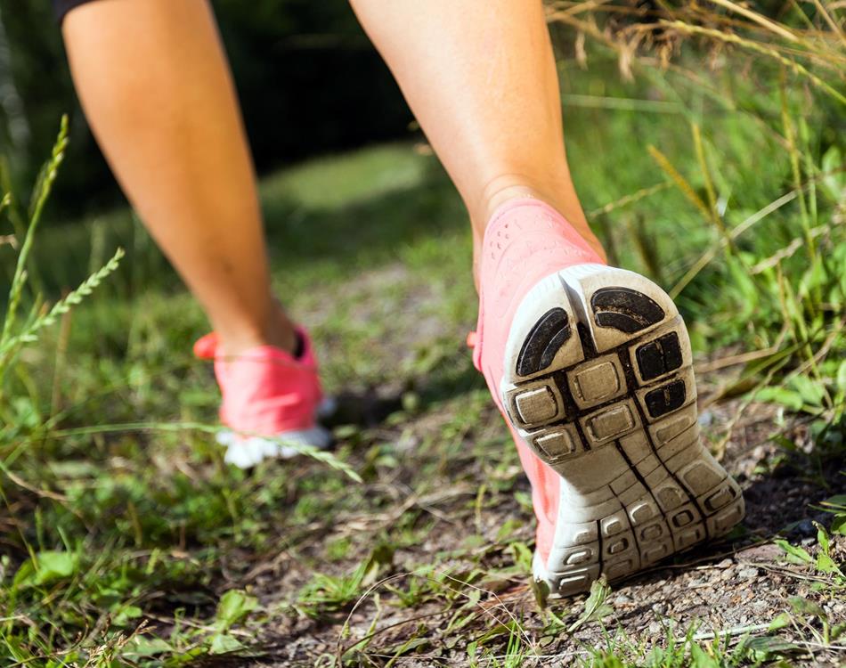 Eislek "Aktiv" - Arrangements